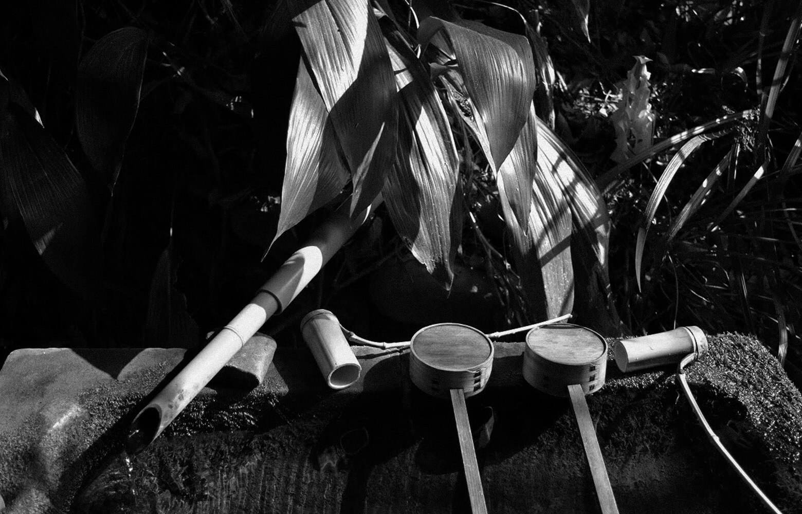 柄杓（ひしゃく）と筧（かけひ）と笹