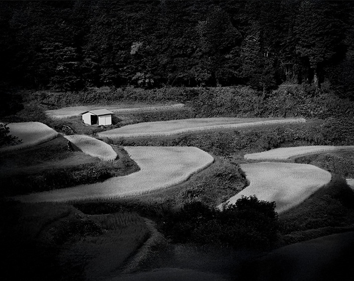 棚田と白い小屋