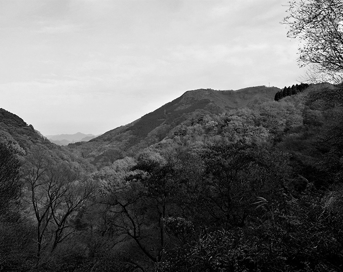 棚田と白い小屋