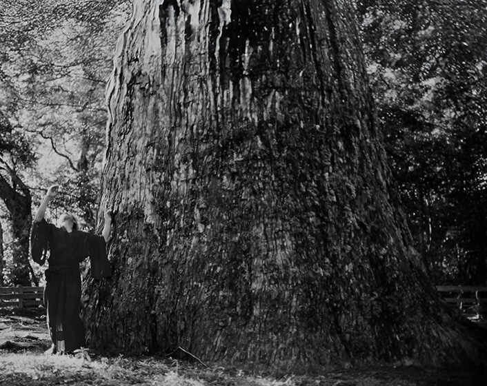 十根川神社の境内にある八村杉（ヤムラスギ）とそれを大きく見上げる老父