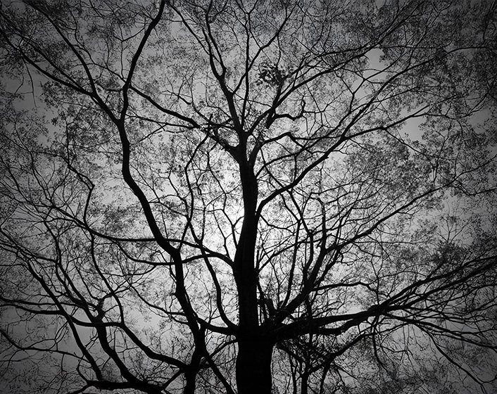 宮崎県北部の山々で見れる夕景