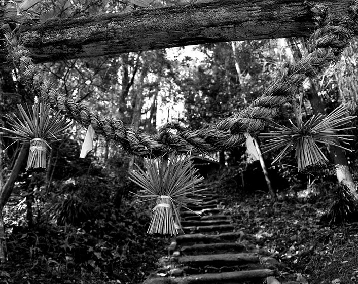 夜明けの三本シメ